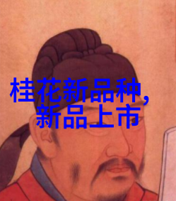 天然气清洁能源的未来之光
