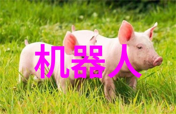 饮用水质量监测-确保清澈饮用水的ph值检测标准探究