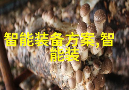 科技创新-碟片分离机新时代的磁介质回收革命
