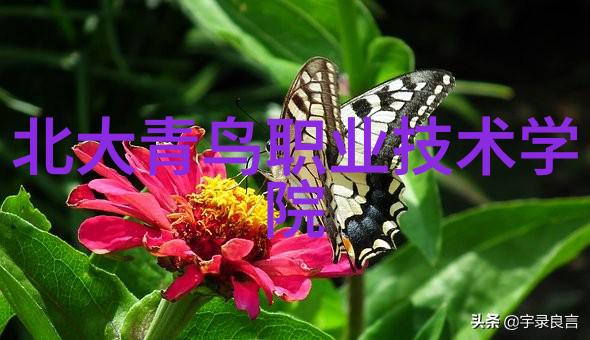 万能拉力机工程领域的多功能助手