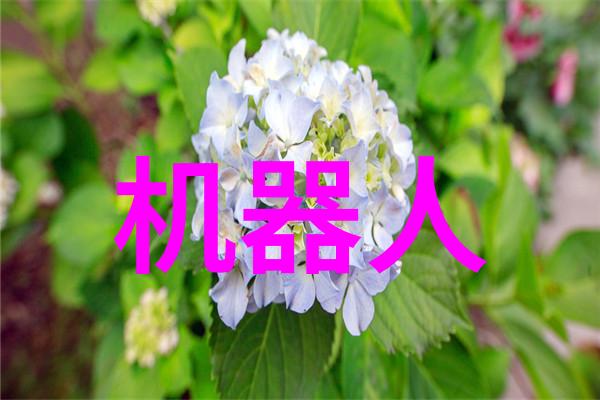 不锈钢填料生产厂家排名锋利的竞争与卓越的品质