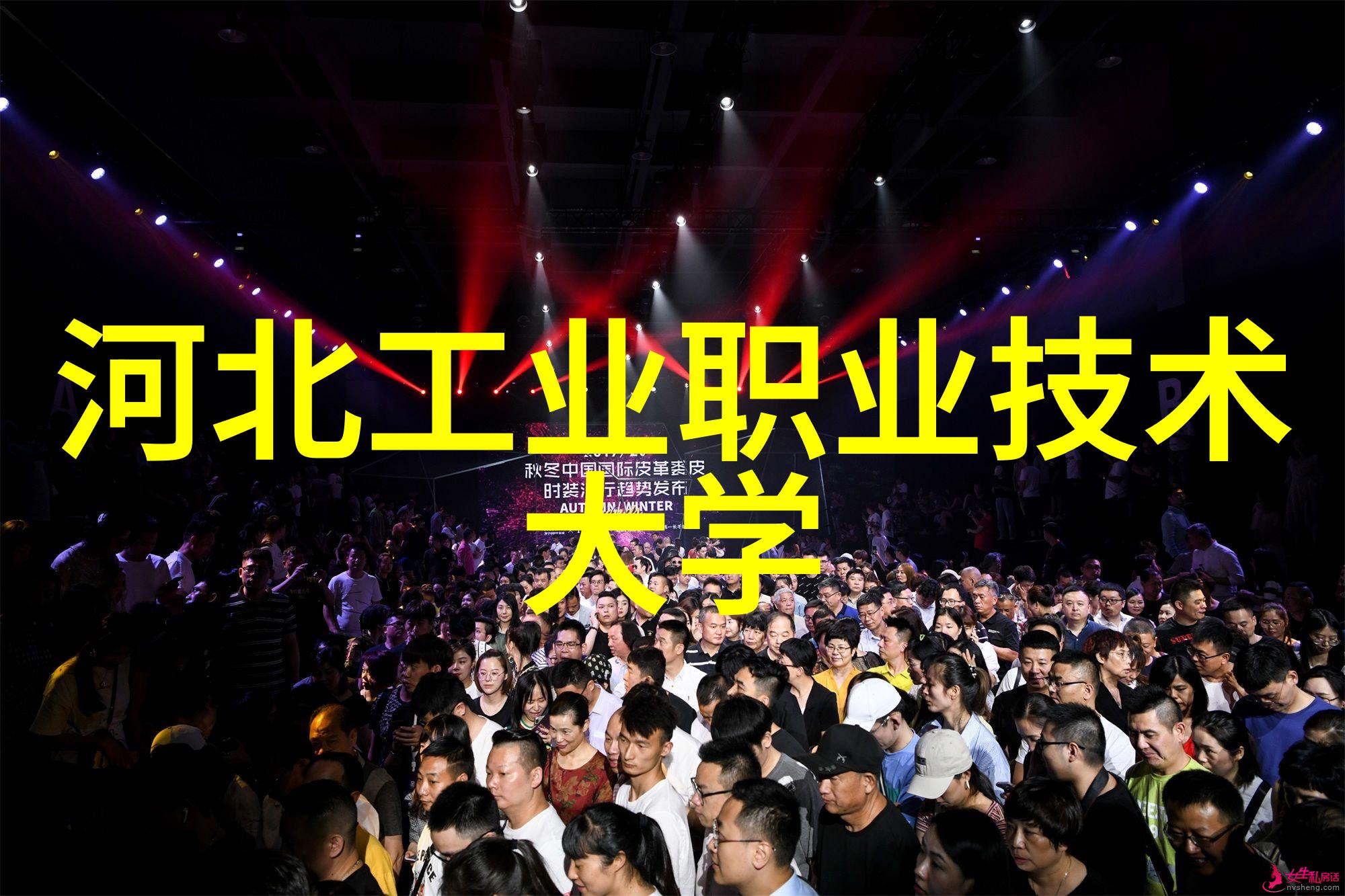 机器视觉网构建智能生态系统的新范式探索