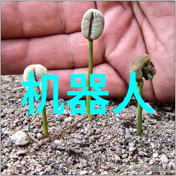 人工智能时代的青春饭之谜AI与职业选择的新篇章