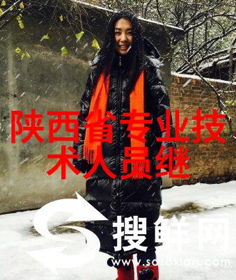 山东省专业技术人员管理服务平台官网揭秘任富佳与老板电器的成长困境在自然环境中寻找解决方案权力交接延至