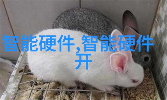 曜的悲剧西施之泪与荣耀之梦