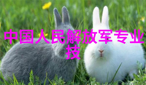 美国伦理眉睫膏3美妆护理的新标准
