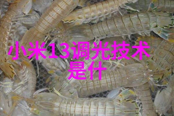 混合机搅拌机生产设备-高效混合与搅拌技术的精妙之作剖析现代制造业中的关键设备