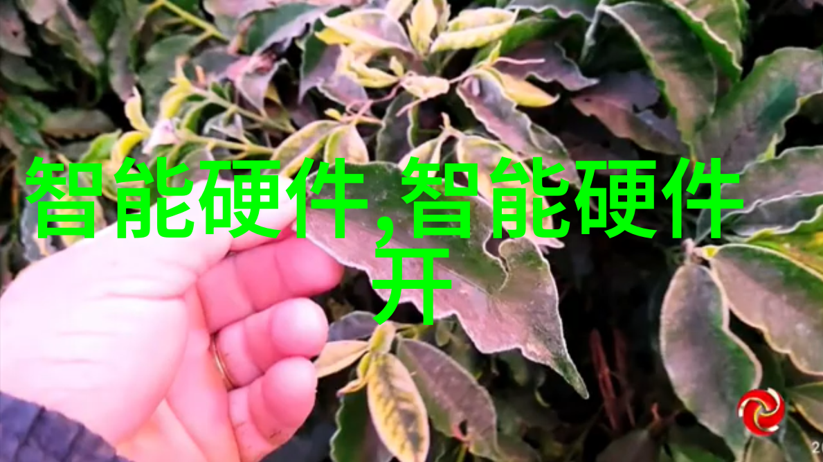 人工智能在智能交通网中的应用探索