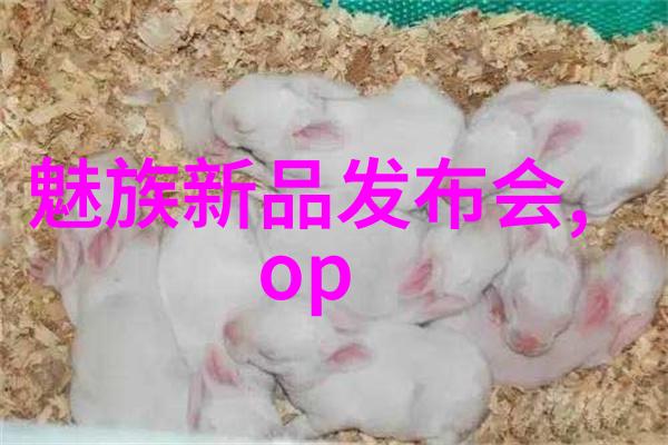 丝网填料与波纹填料在材料科学中的应用及其优缺点分析