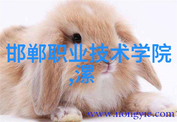 最新防疫指引深入解读中央核酸检测新规定的具体内容与实施细节