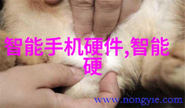 不锈钢板最新市场价格分析