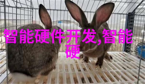 机器之谜粘土泥石分离机的神秘运行原理