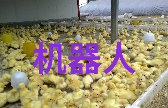 我和大哥的天堂老弟带我飞到另一个世界