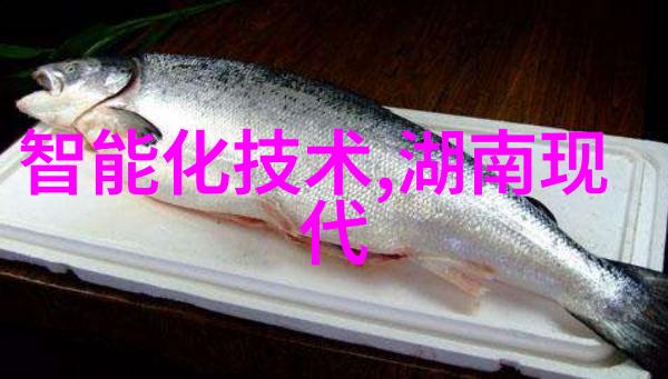 芯片的制作流程及原理-从硅片到智能设备揭秘微电子技术的奇迹
