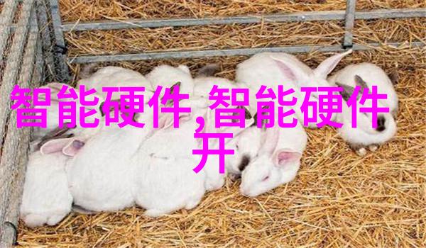 工业场所应如何定期维护和清洁他们用于除去粉末污染的小工具以保持其最佳运行状态