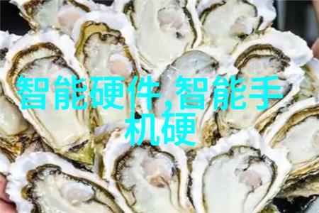 水洗机设备清洁效率的新纪元