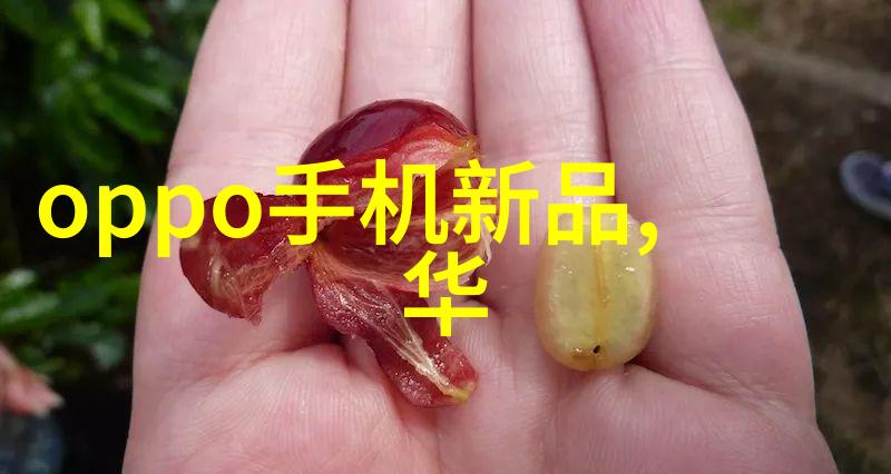 不锈钢管退火炉我的热情探索