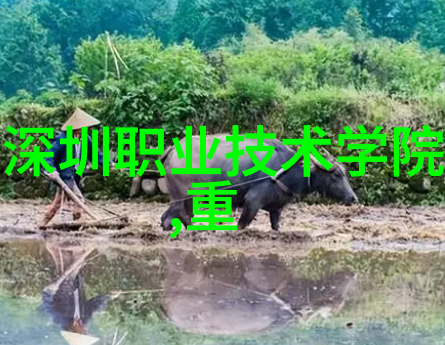 手慢无全天候监测身体健康dido智能头盔采用先进传感技术社会普及率暴增290