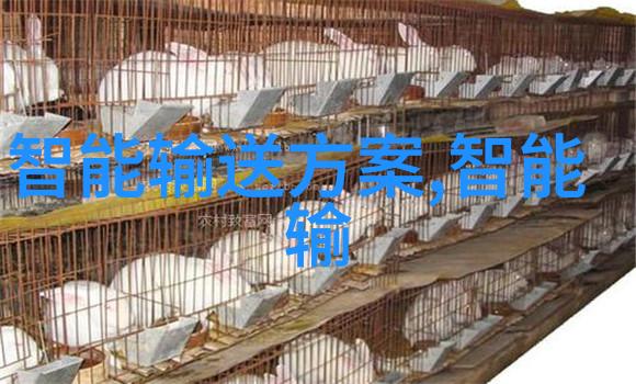 华为应用市场下载官网我来教你怎么在手机上快速找到最新的APP