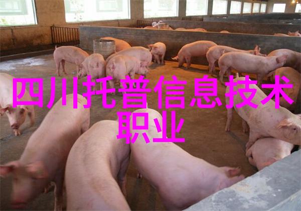 镀锌管型号规格表专业制造商提供的各种尺寸和材料选项