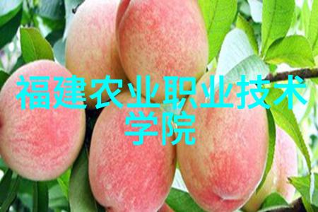 人才测评师认证成为一名专业的人才测评师