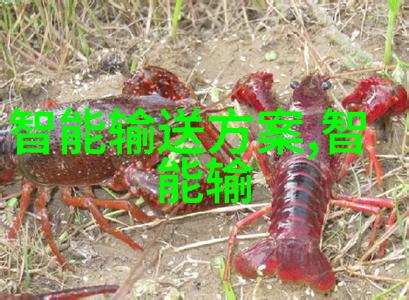 一口一口吃掉胸口的奶油HD我是如何不小心成为奶油之恋的人