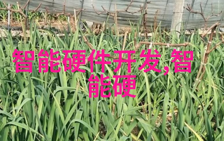 除了技术能力外在人事测評活動中还应重视哪些非技术方面的素质呢