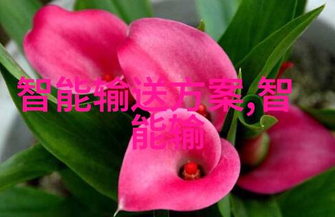 在350亿美元收购案遇到欧盟的阻碍后新思科技提出了补救措施然而这场商业风波背后的故事却引发了一个更深