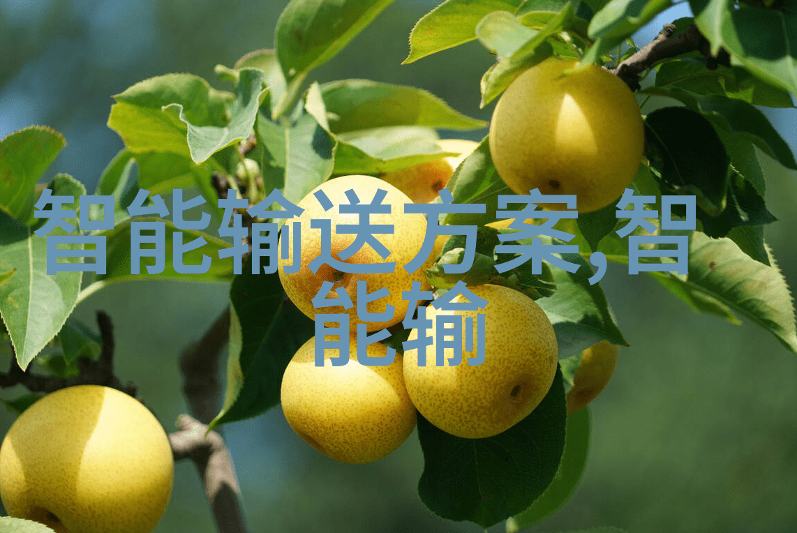 代写报告我是如何在期限内完成那份棘手的报告的