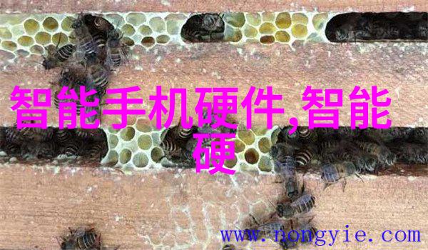 赤峰黄金招股在即目标募资326亿港元AH股格局将形成