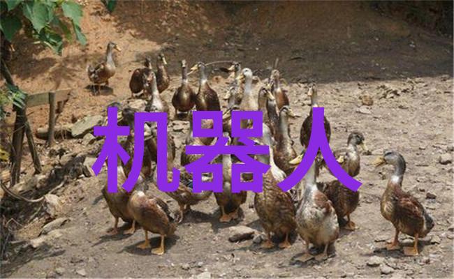 微波炉电子杀菌除味厨房新宠的卫生与香气双重奏