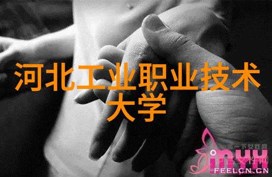 蜜芽TV2023探索新跳转接口的无限可能