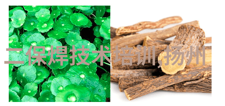 重庆财经学院探索经济学的新篇章