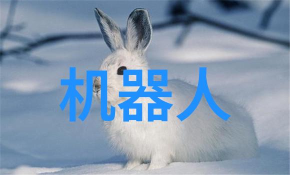 走向专业领域专家级别的总结性报告撰写技巧分享