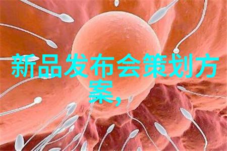 深化国际合作开启跨文化交流新篇章广西财经学院国际化进程