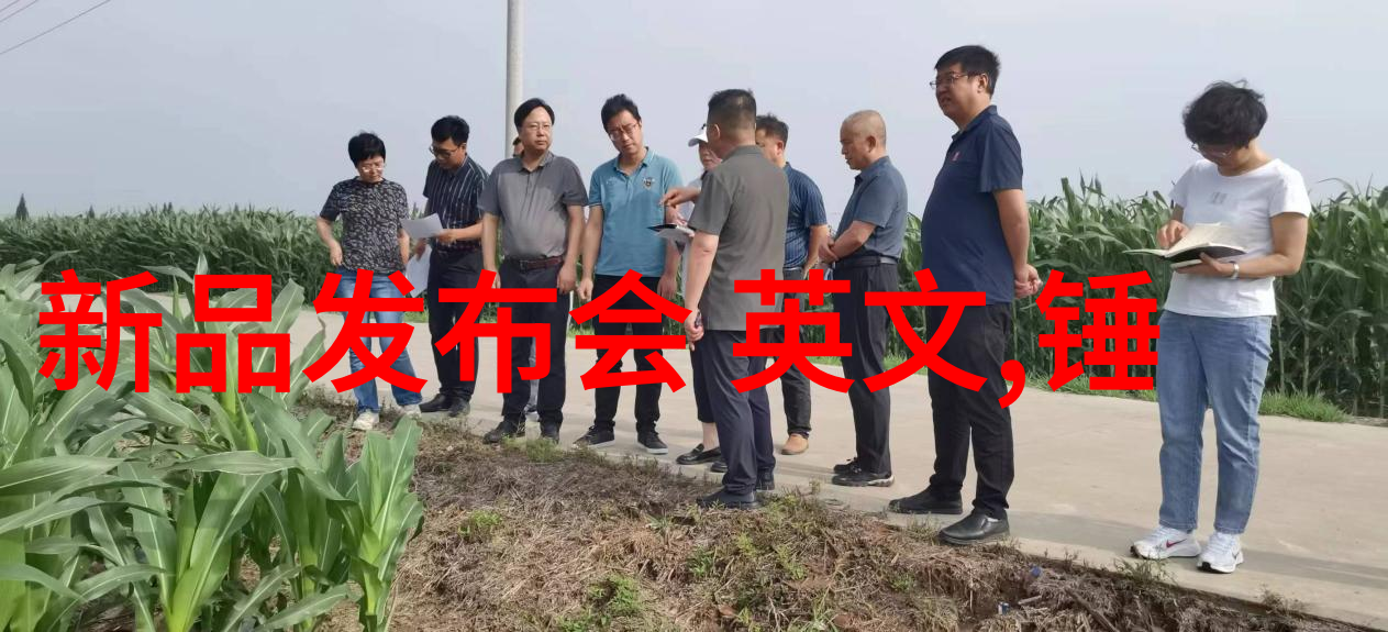 为什么现在很少人戴智能手表我是怎么发现自己周围不再有人戴智能手表的