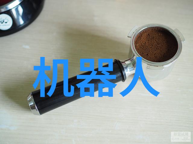 国际视野下的人才培养路径探索  中國大陸高校國際合作與交流項目中的示範實踐