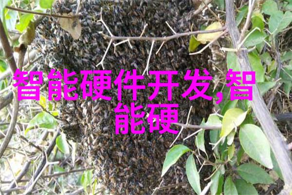 机器视觉网我的智能世界之窗