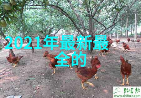 智能自适应镜框高科技眼镜设计