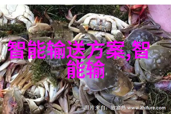 离心鼓风机我的小助手在厨房的忙碌日子中