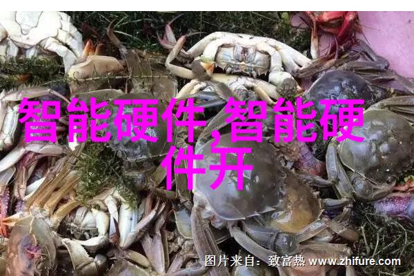 丝网规整填料型号从纤细到丰盈的逆袭