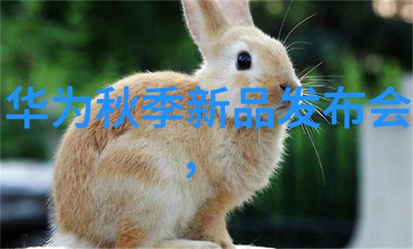 直板风格Android23SonyEricssonNeo发布