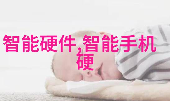 重庆财经学院国际化教育模式探究