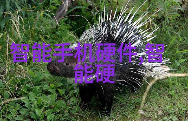 粉碎设备高效能金属冲击机器