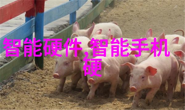 长春财经学院卓越的财经教育与研究