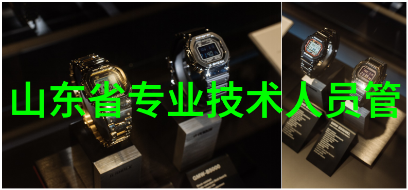 东富龙制药设备精湛工艺守护健康的守望者