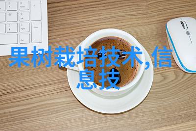 学生会在吉林财经大学获得什么样的就业机会和职业发展路径