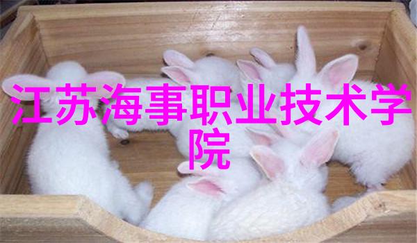 彩色飞扬喷漆水帘柜的艺术魅力
