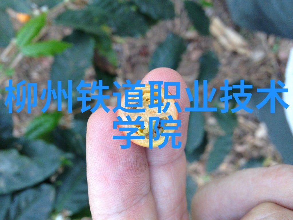 座式学习的不适感硬质办公桌的写作日记