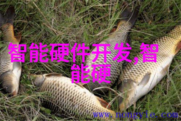 智能化学会会员屈文博先生2025新年寄语